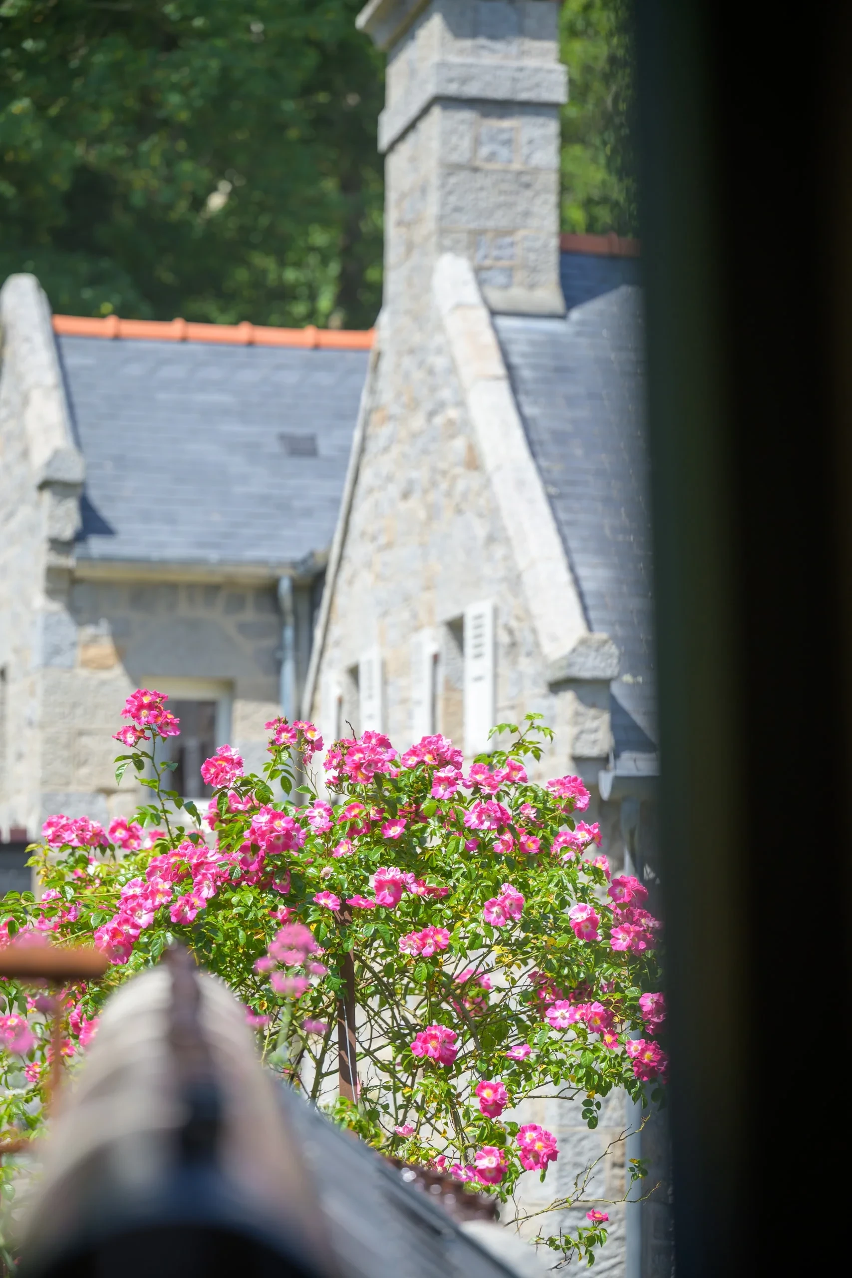 villa montgommery chambre 1 chambre deluxe 41